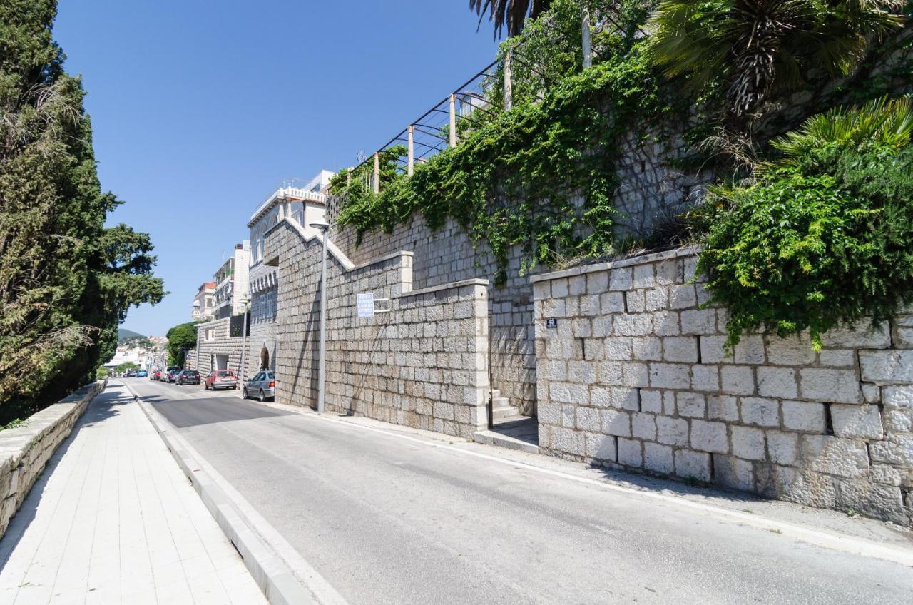 Davor Dubrovnik